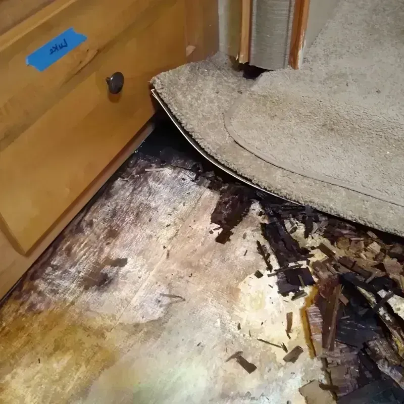 Wood Floor Water Damage in Evanston, WY